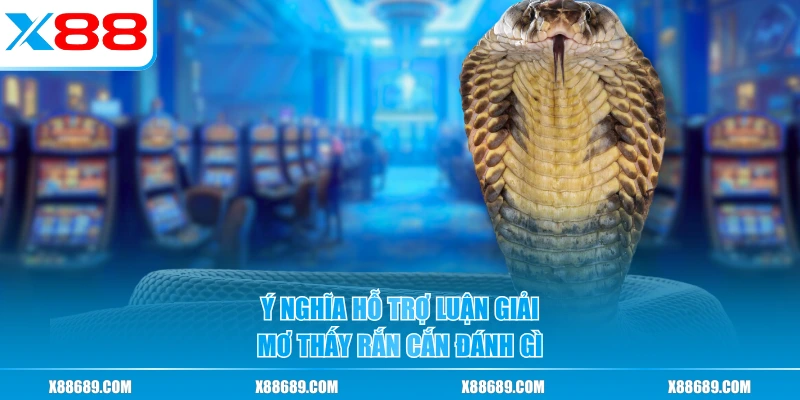 Ý nghĩa hỗ trợ luận giải mơ thấy rắn cắn đánh gì